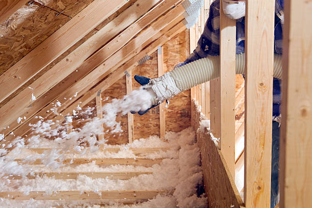 Best Insulation Air Sealing in Jackson, MO